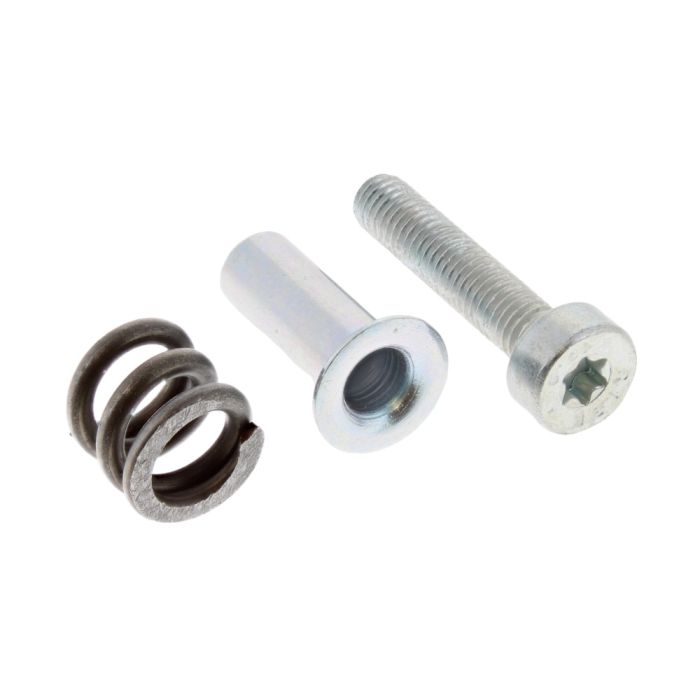 Stihl TS410 Adjusting Bolt and Spring