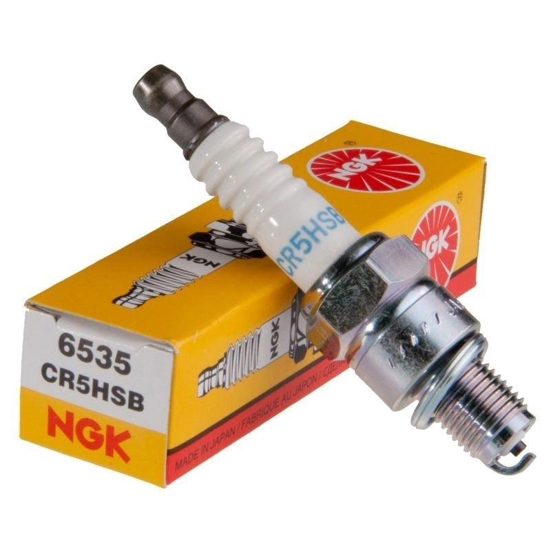 CR5HSB Spark Plug